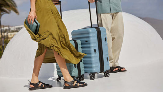 Antler New Clifton Suitcases in Ocean and Mineral