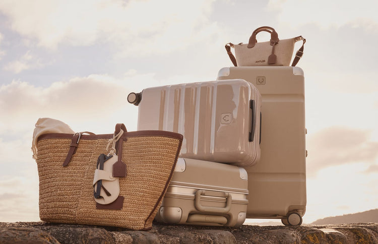 a group of luggage on a rock