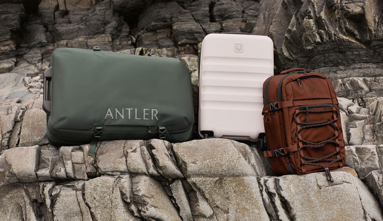a group of luggage on a rock