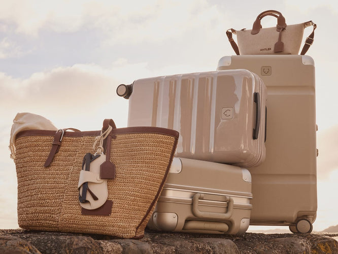 a group of luggage on a rock