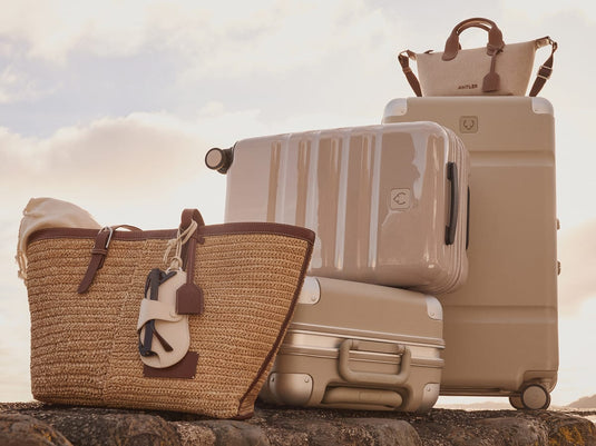 a group of luggage on a rock