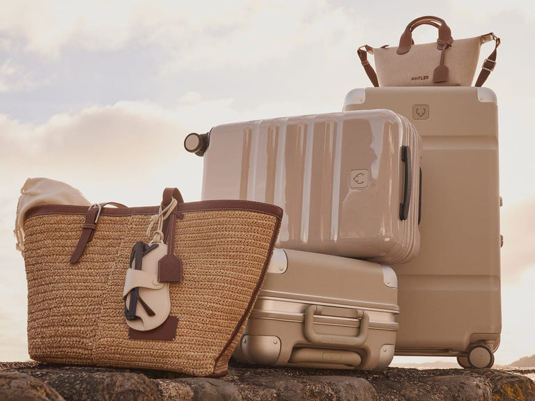 a group of luggage on a rock