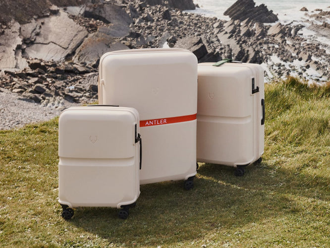 a group of luggage on grass