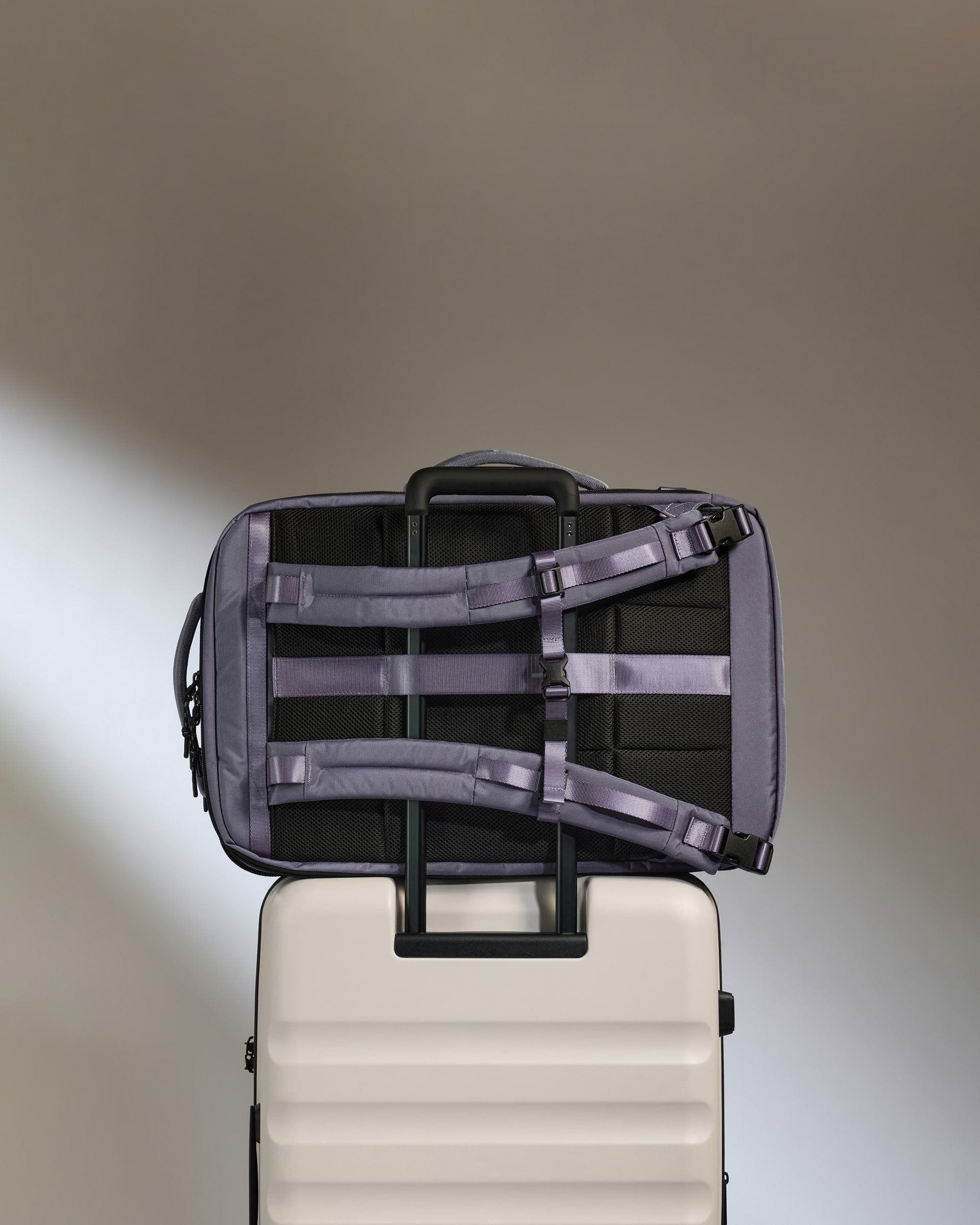 Antler Luggage -  Discovery 45L Backpack in Meadow Purple - Backpack Discovery 45L Backpack in Purple | Rucksacks & Travel Bags