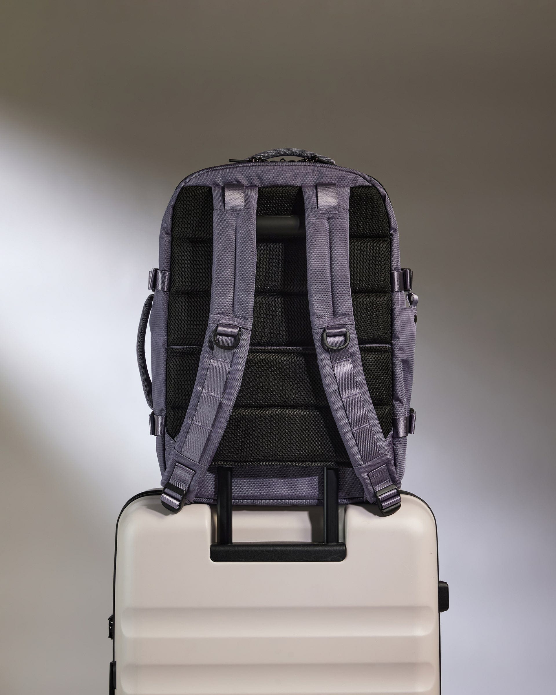 Antler Luggage -  Discovery Backpack in Meadow Purple - Backpack Discovery Backpack in Purple | Rucksacks & Travel Bags