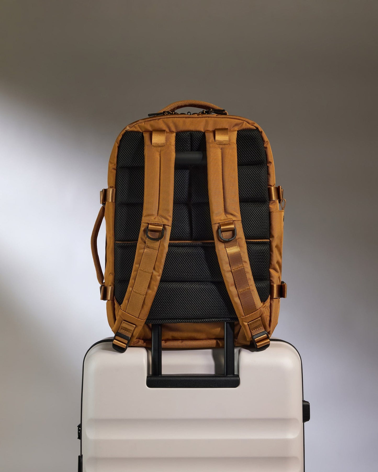Antler Luggage -  Discovery Backpack in Mustard Yellow - Backpack Discovery Backpack in Yellow | Rucksacks & Travel Bags