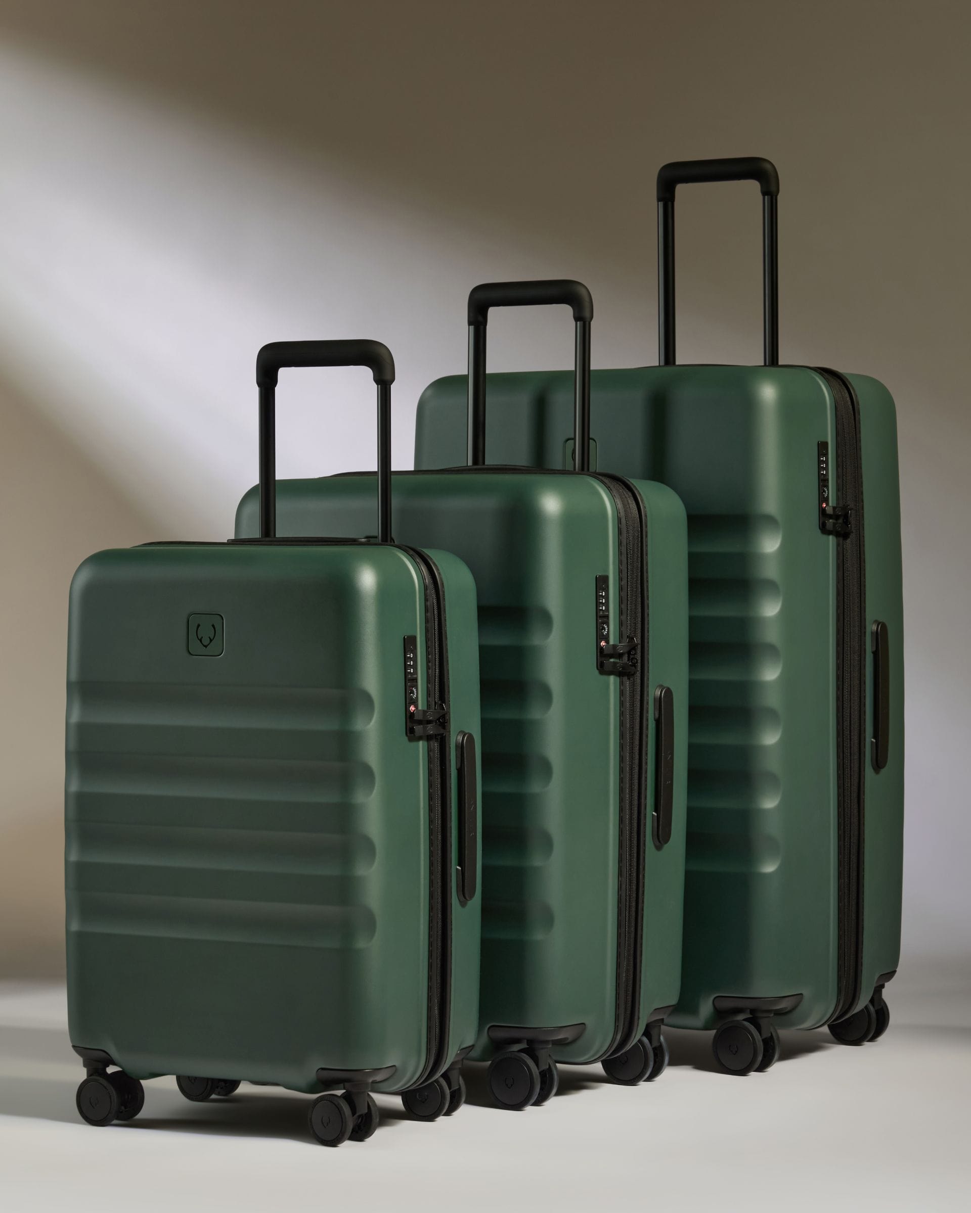 Large Cabin Suitcase Set Icon Stripe