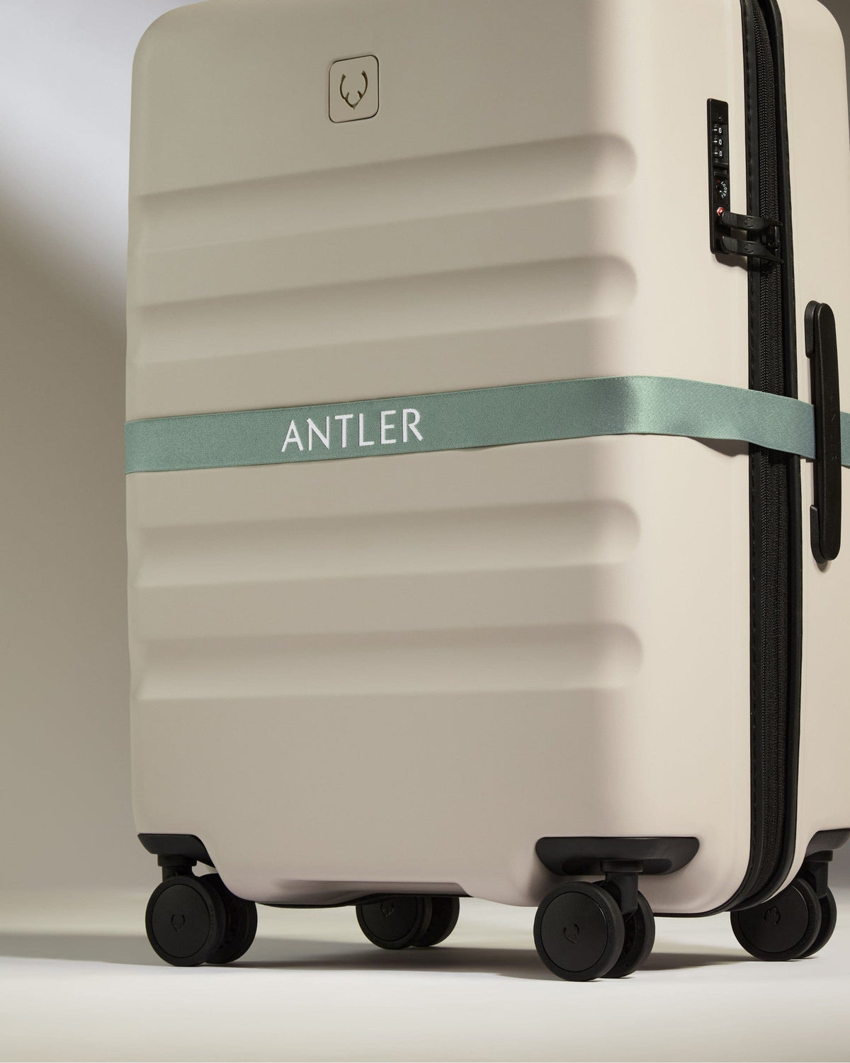 Luggage Strap Mist