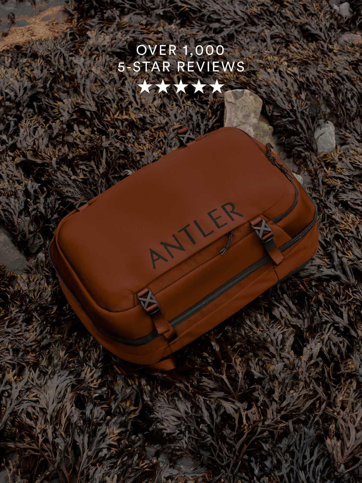 Antler Luggage -  Pre Fall PLP 1 | Reviews 2026 - featured Pre Fall PLP 1 | Reviews 2026